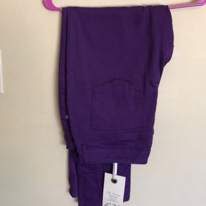 The Limited NWT Purple Pants